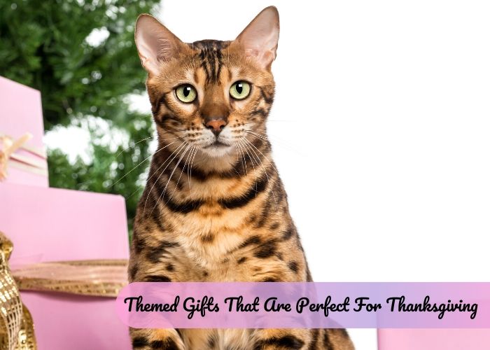 Title: Cat-Themed Tie Brands for Girls: A Fashion Recommendation