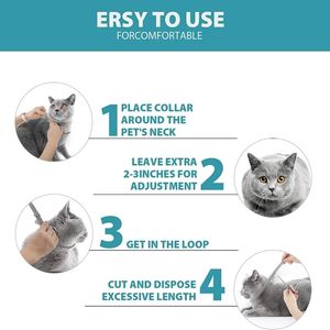 Cat Tie Recommendations