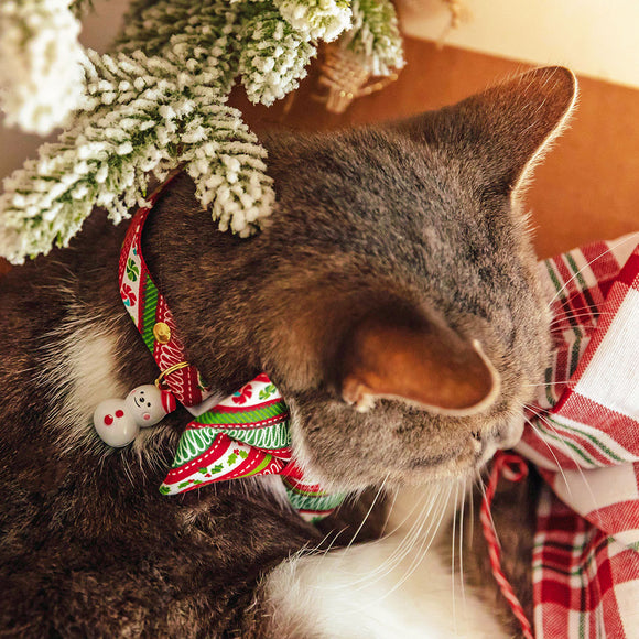 The Best Cat-Themed Tie for Your Wedding