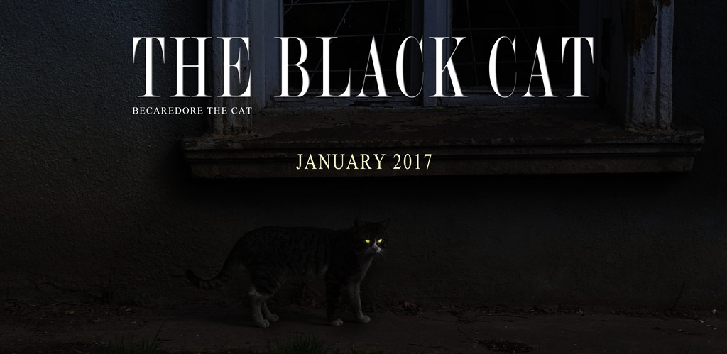 Title: The Black Cat and the Black Tie