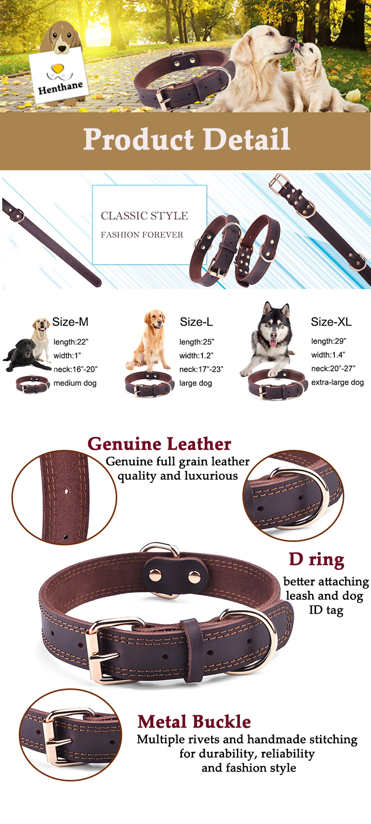 Affordable Dog Collar Brands to Consider