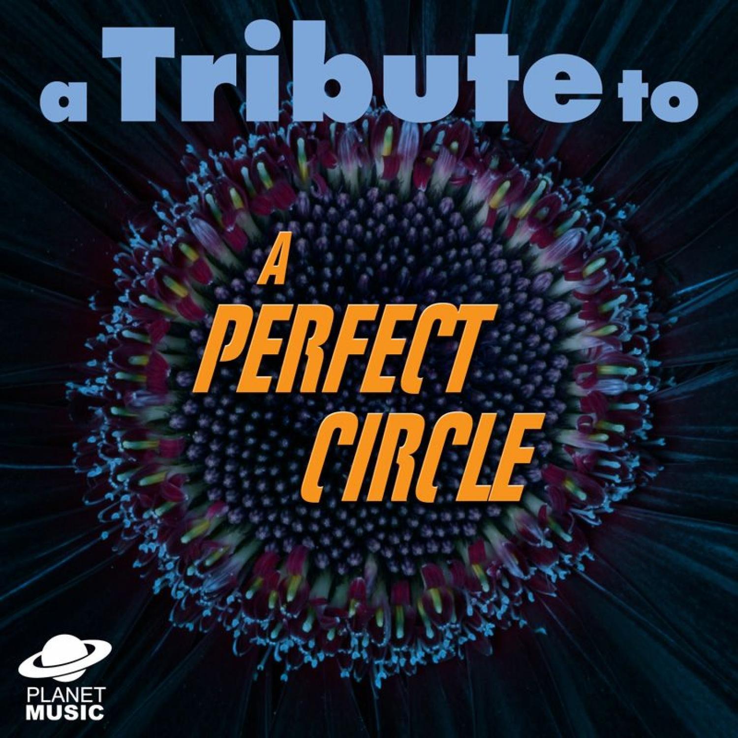 Title: The Perfection of the Tie Circle