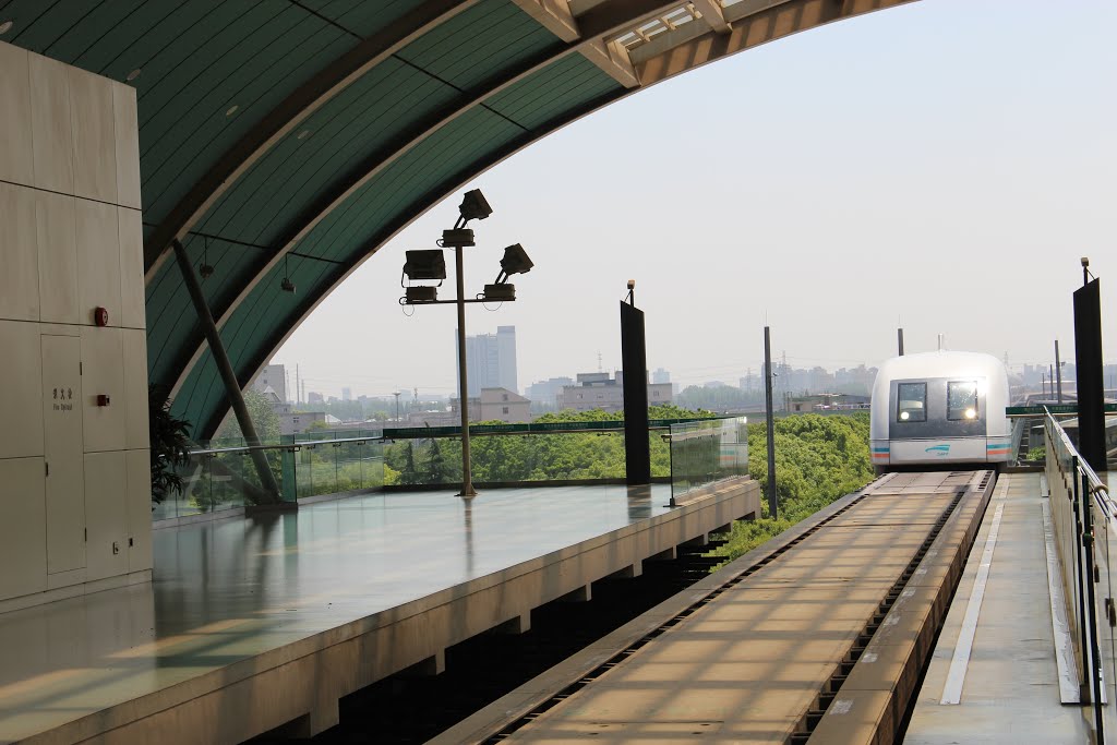 Title: Unveiling the Timeless Elegance: The Shanghai Railway Tie