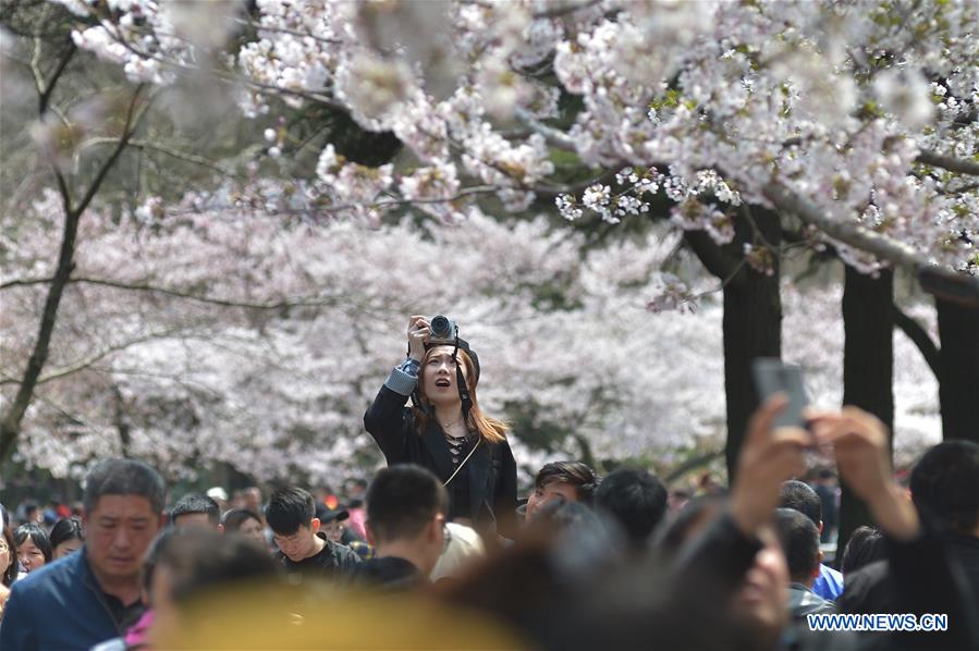 Title: Unveiling the Charm of Chuan He Jing Ming Mouch Lianda in a Spring Day