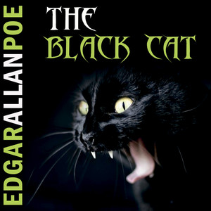 Title: The Unique Charm of a Black Cat with a Tie