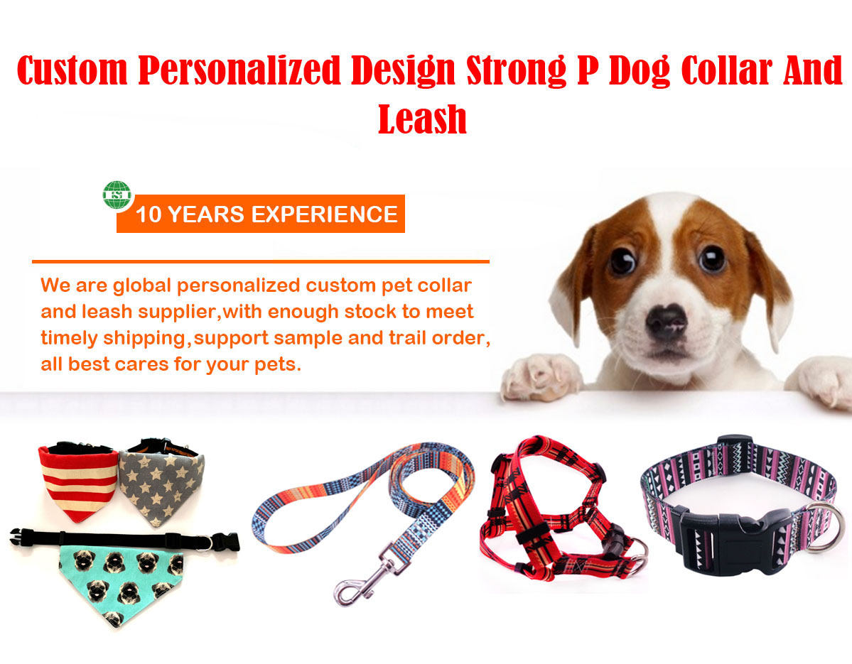 Title: The Art of Combining Dog Collars and Leashes: A Guide to Keeping Your Pooch Safe and Styled