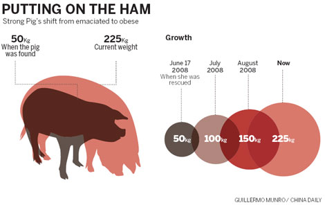 The Fascinating Origins and Evolution of Pigs Nose Ties