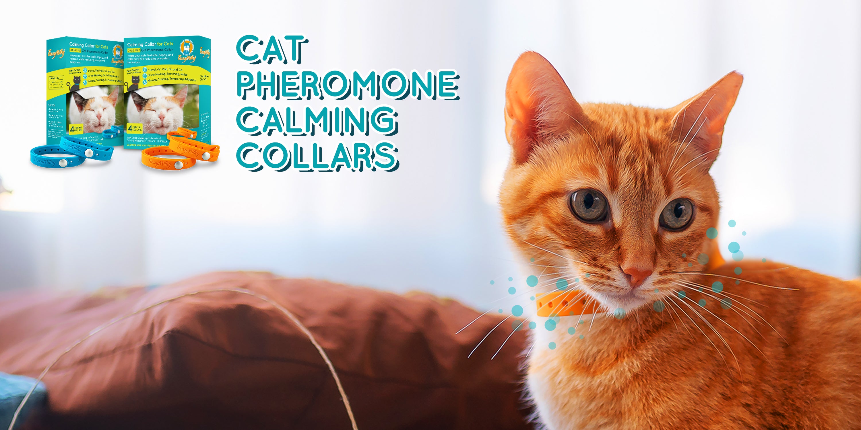 The Unique Charm of Nine Cats Collars