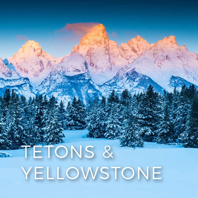 The Timeless Allure of Yellowstone Ties