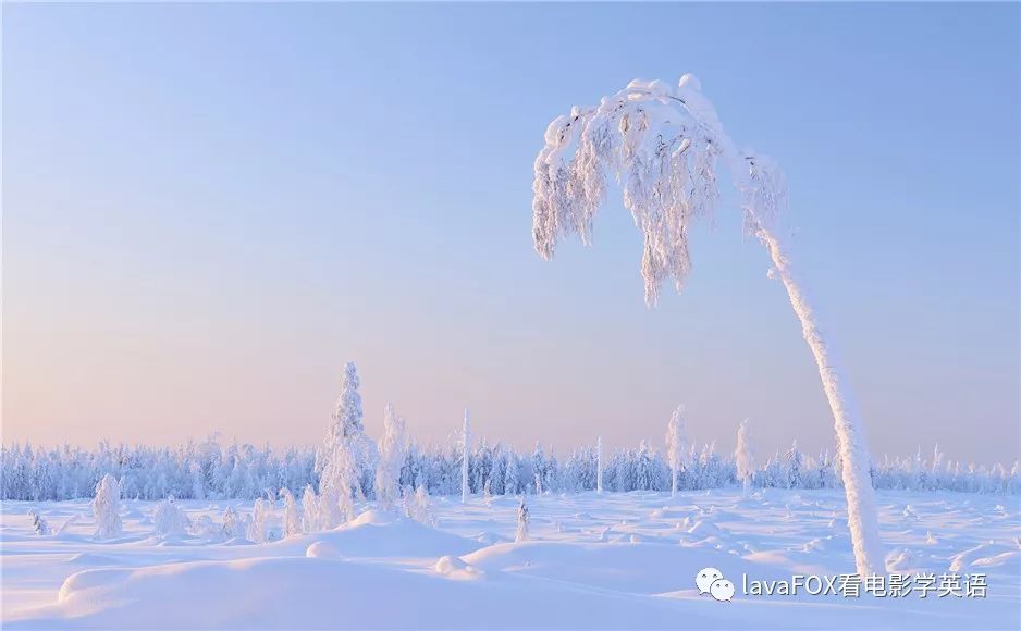 A Symphony of Snow: The Enigmatic Allure of the Snowflake Scarf