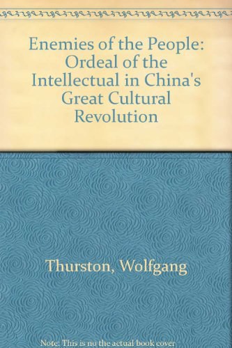 The Evolution of Chinese and American Ties: A Cultural Odyssey