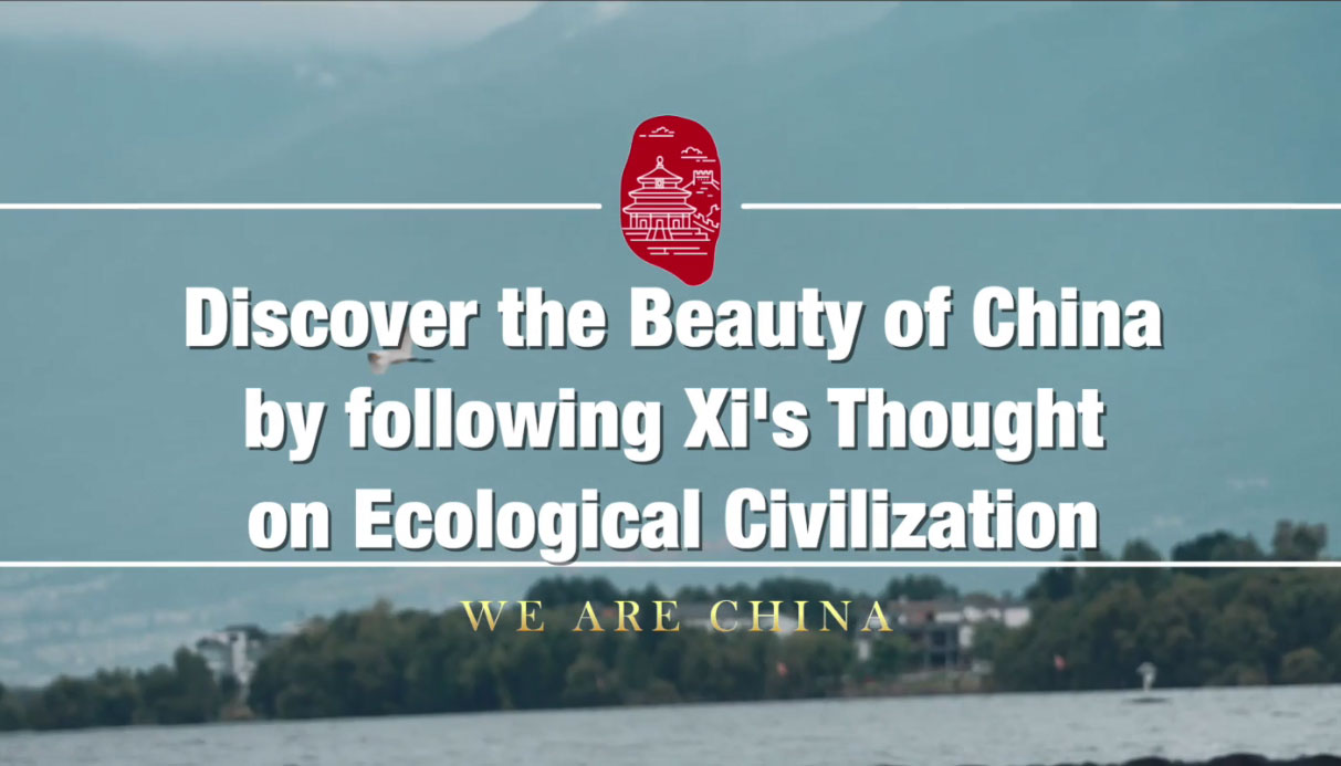 The Enchanting World of Quzhou Ties – A Cultural Journey through the Heart of China