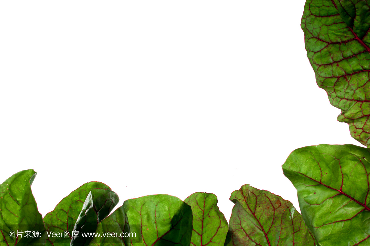 The Unique Charm of Ginkgo Leaf Neckties