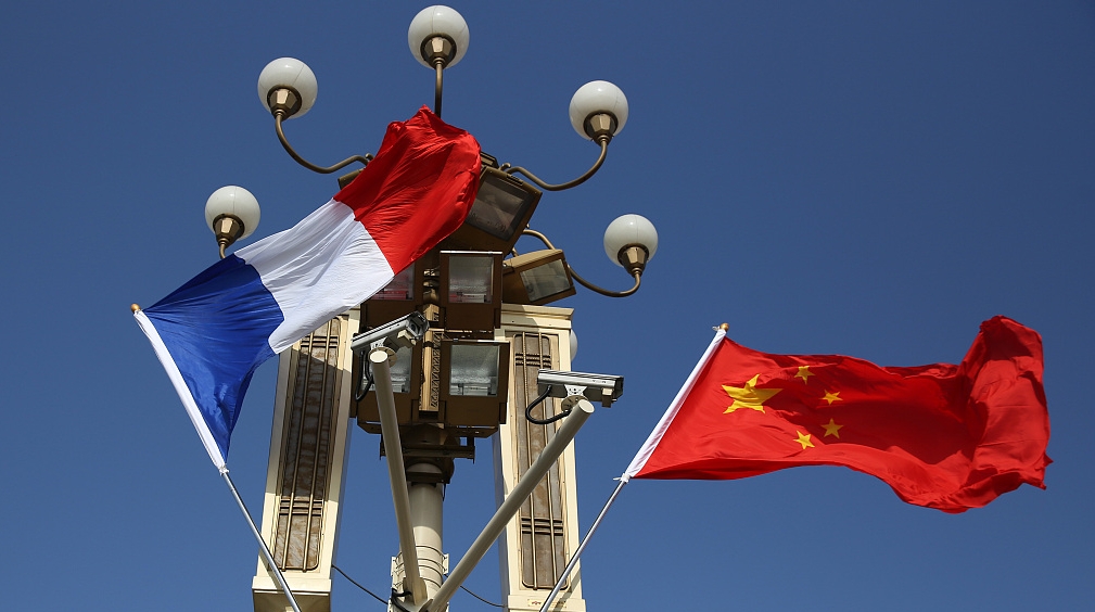 The Enigmatic Allure of Frances National Flags and Ties