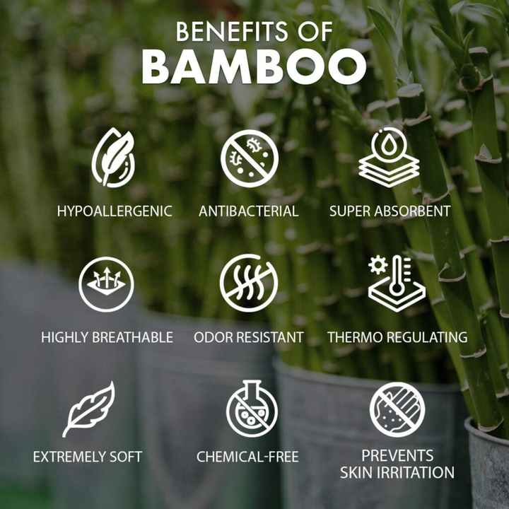 Bamboo Tie Brands: A Fashion Statement