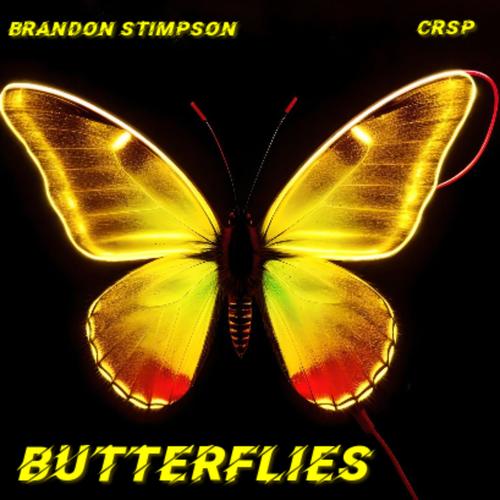 The Butterflys Dance: A Tale of Loss and Redemption