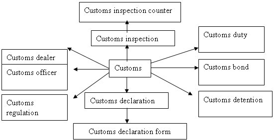 Navigating Customs Regulations for Ties: A Guide to Taxation and import procedures