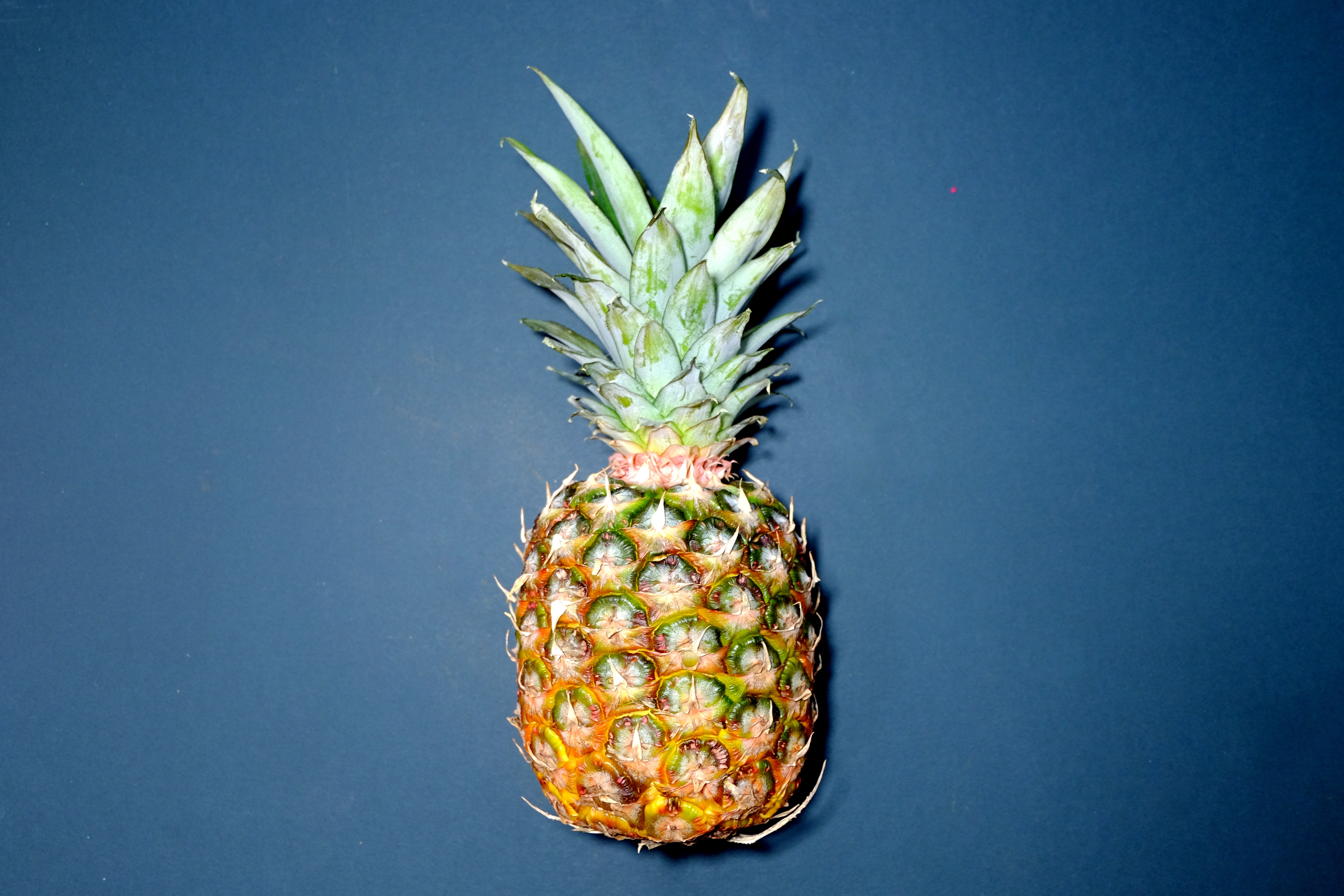 Pineapple Tie: A Taste of Paradise in Every Occasion