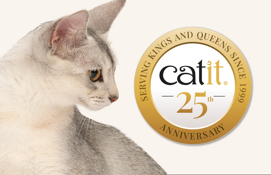 The Top 10 Cat Collar Brands in the World