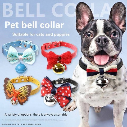 The Cool Tie-Pulling Pet