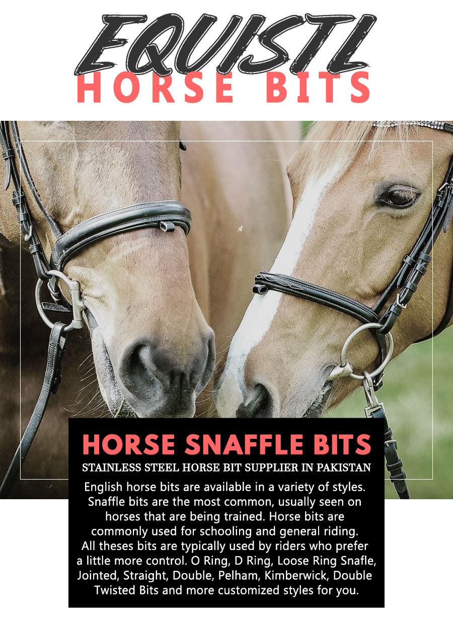 Womens Horse-bit Tie Recommendations: A Brand-name Guide