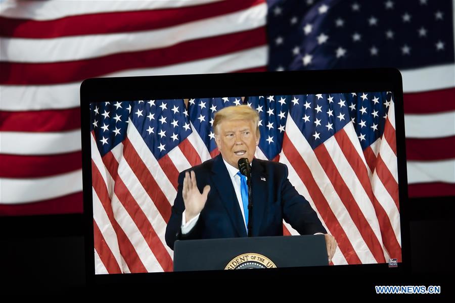 The Unique Charm of Trumps Large Tie