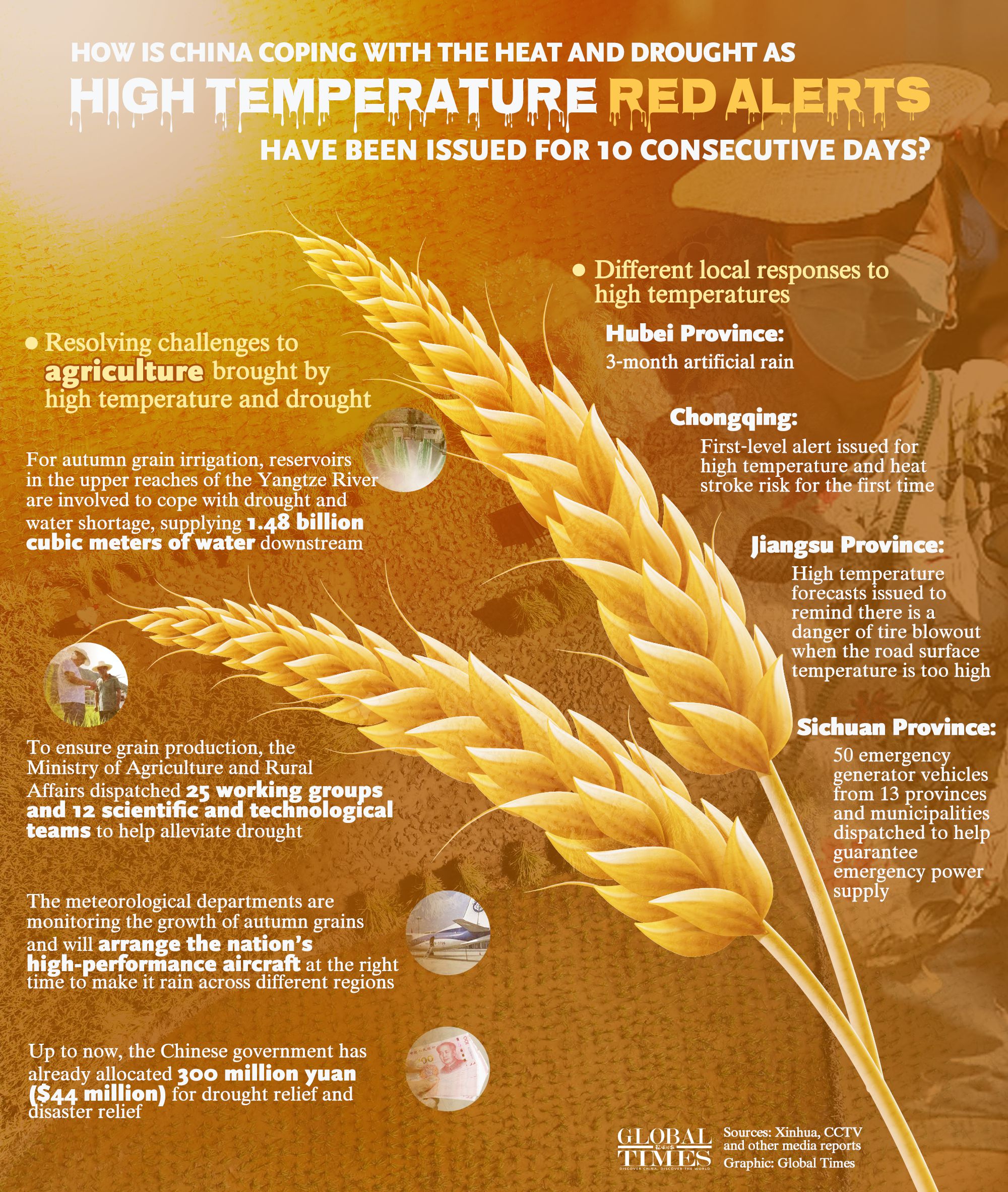 The Art of Tying a Tie and Planting Rice Seeds: A Cultural Comparison between China and the West