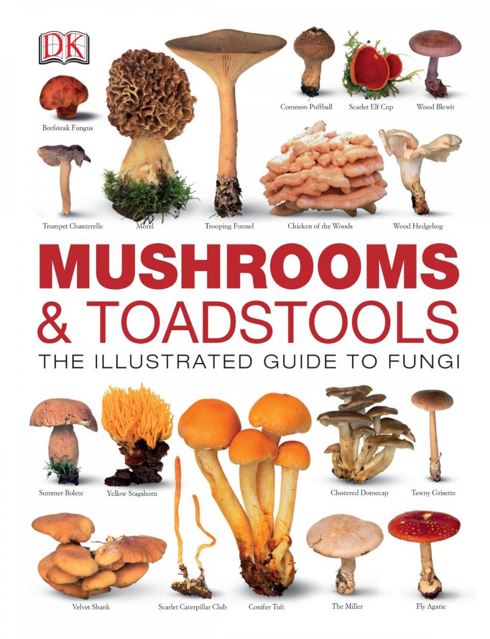 The Mysterious and Flavorful Mushroom: A Culinary Delight