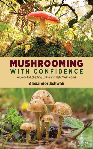 The Mysterious and Flavorful Mushroom: A Culinary Delight