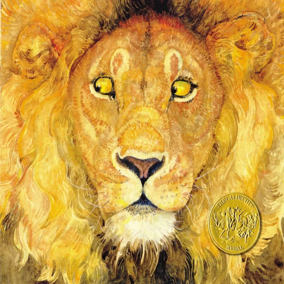 The Sun Lion Tie: A Tale of Power and Style