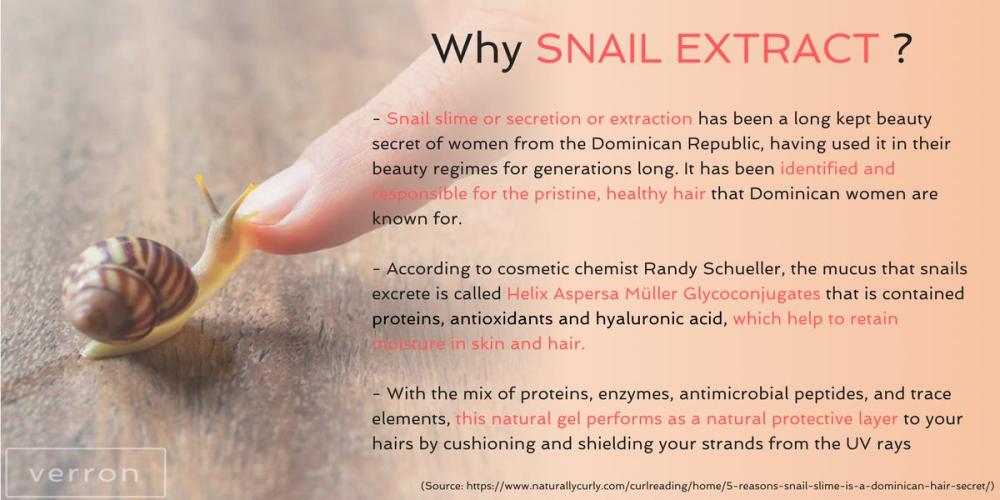 The Brand of Snail: Exploring its Tie Symbol