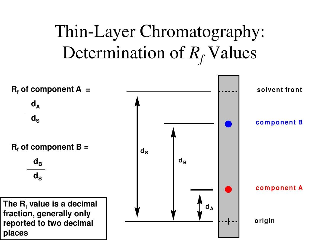 The Evolutionary Charm of Array Ties: A Study in Timeless Style