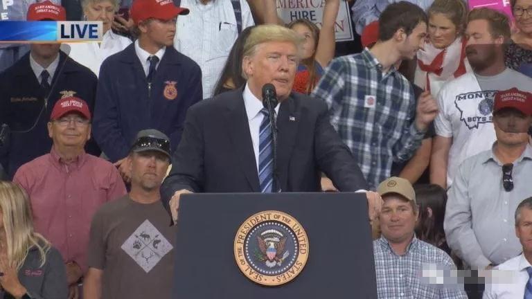 The Unique Charm of a Green Plaid Shirt and Tie