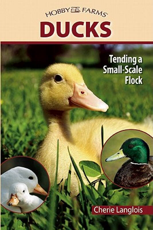 The Fascinating World of Duck Tongue Ties and Accessory Materials