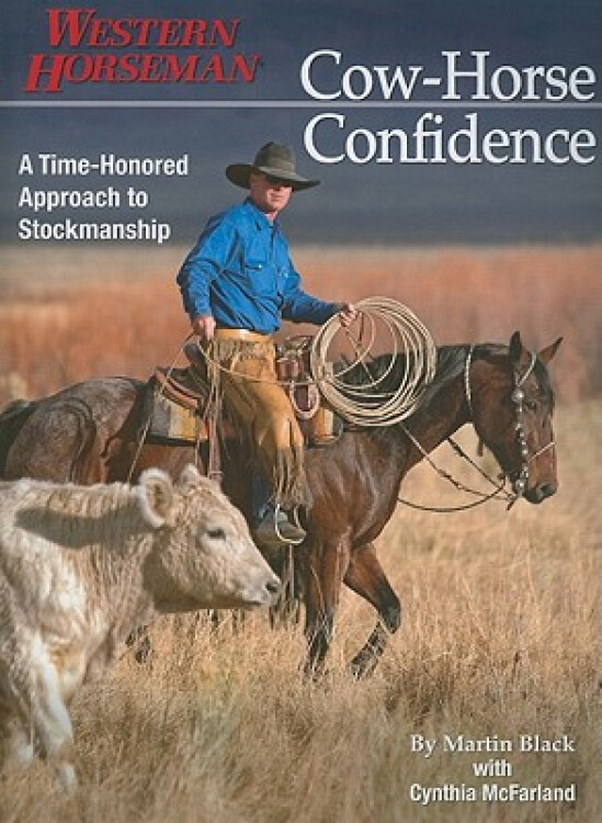 The Timeless Charm of the Cowboy Tie