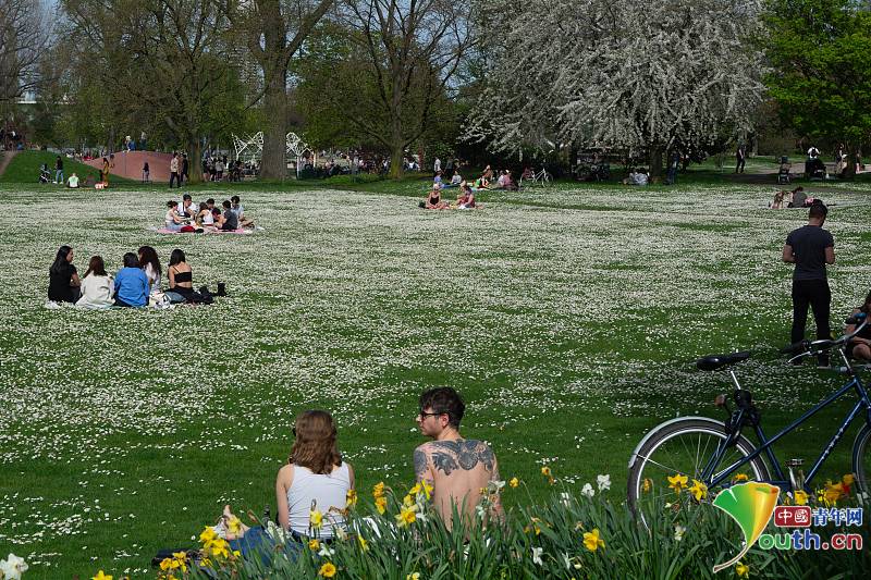 Embarking on a Springtime Journey with the Charming Charm of Spring Grass Tie