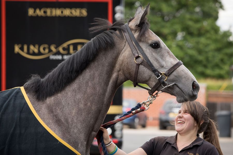 The Legend of White Horse Street Ties