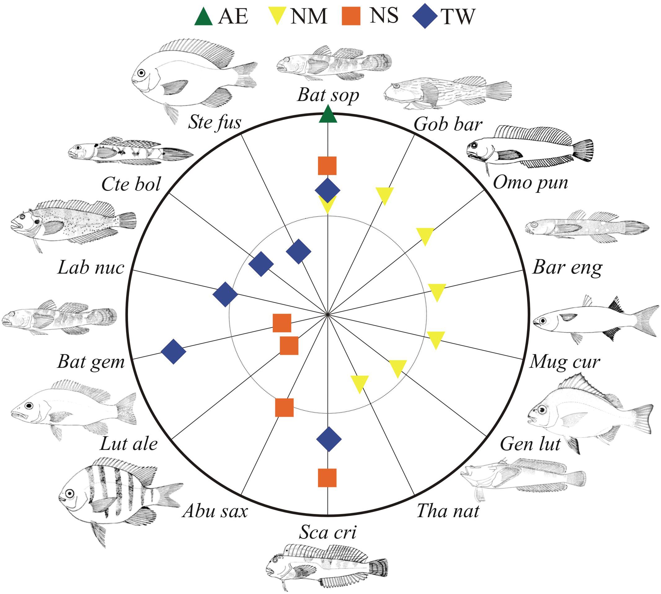 Embracing the Mystical allure of Pisces - The Tale of the Zodiacs Fish Sign and its Iconic Tie