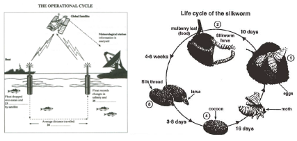 The Lifecycle of a Tie: How Many Years Can You Expect Your Tie to Last?