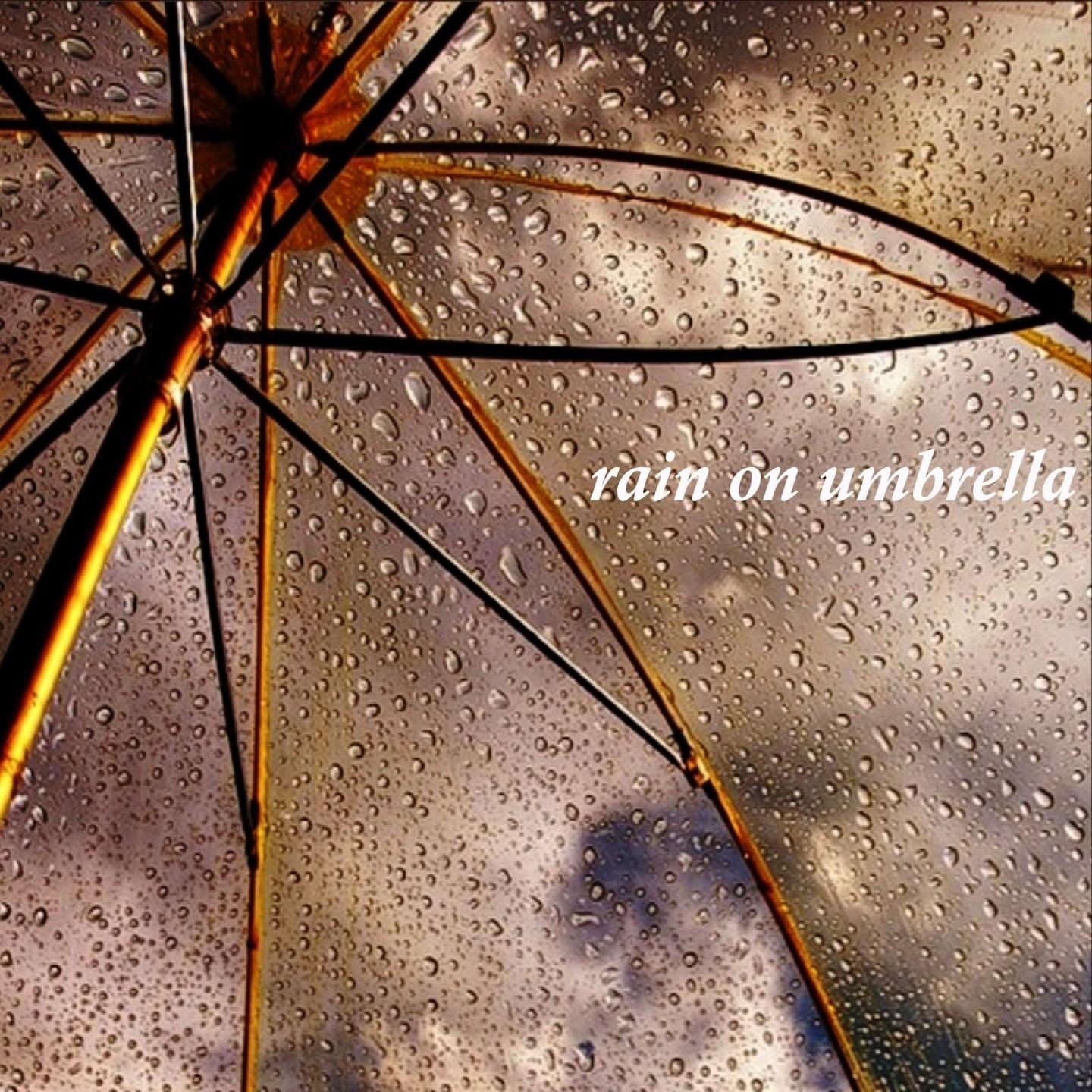 The Umbrella Hat Novel - A Raindrop of Inspiration