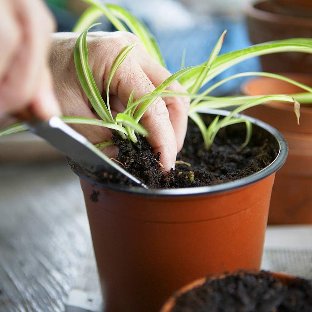 The Art of Growing Plants in Pockets: The Trendy and Sustainable Suspended Garden