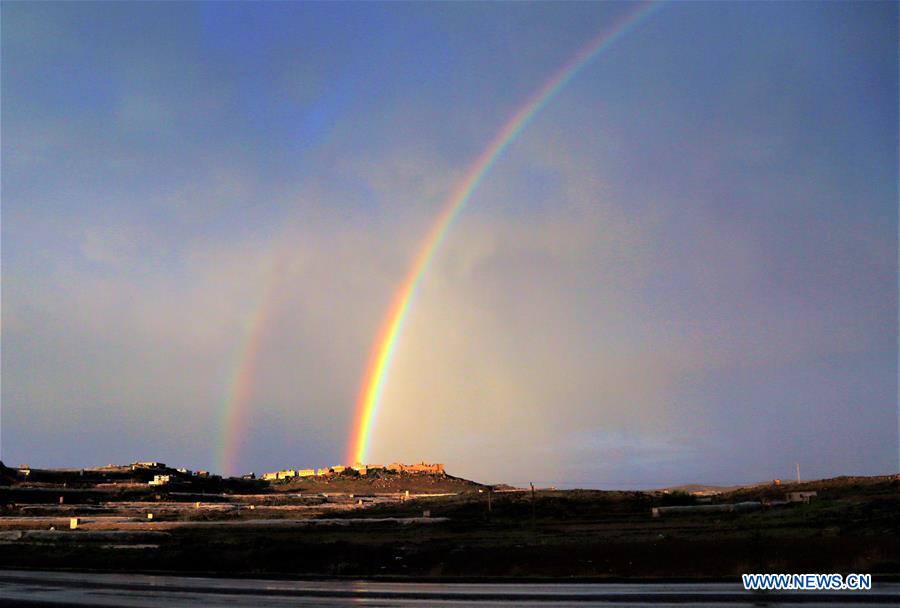 Understanding the Significance of Rainbow Ties