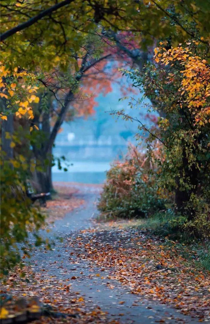 The Art of Crafting Ties from Fallen Leaves