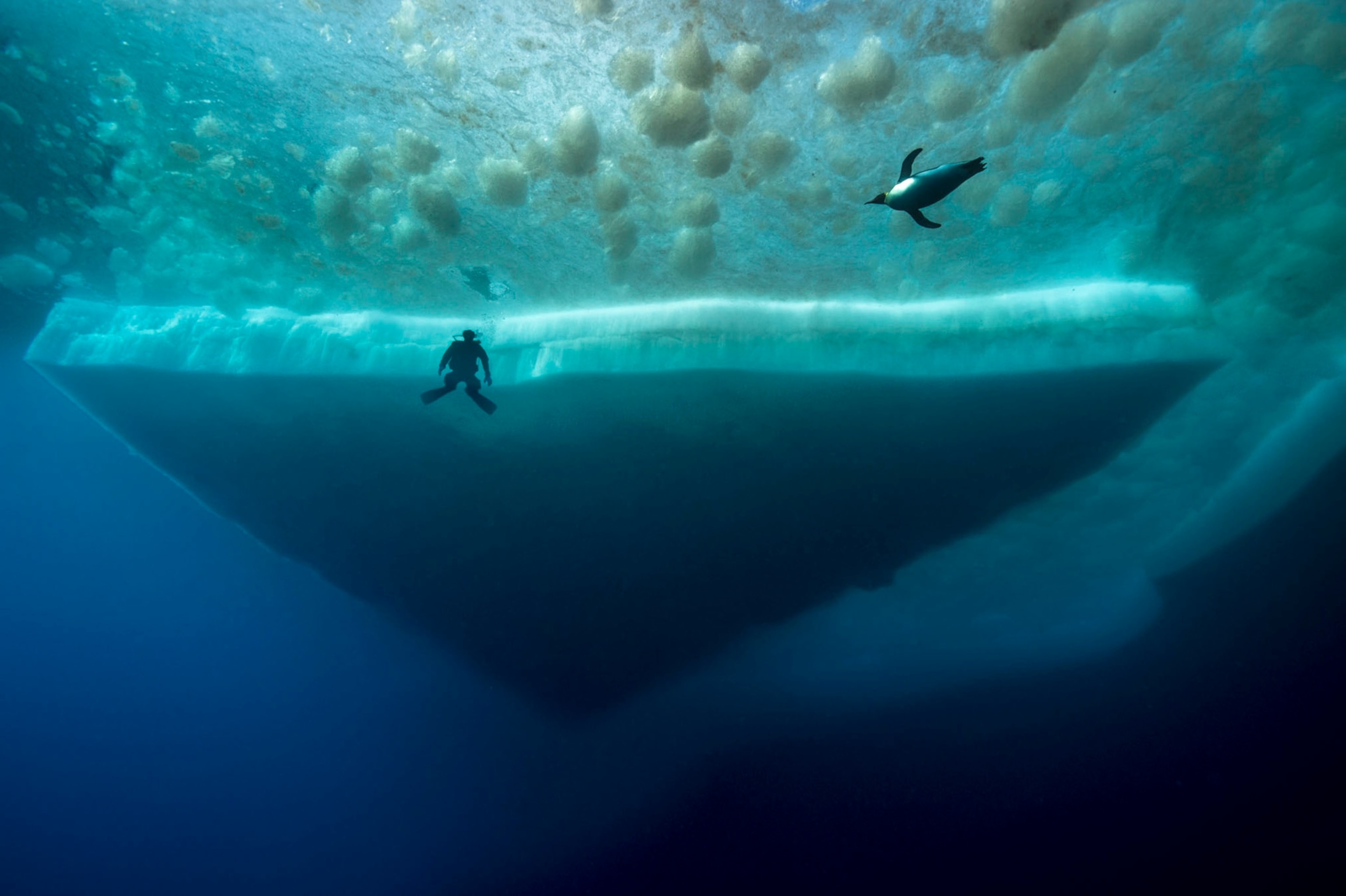 The Deep Blue Tie: A Tale of Adventure and Underwater Exploration