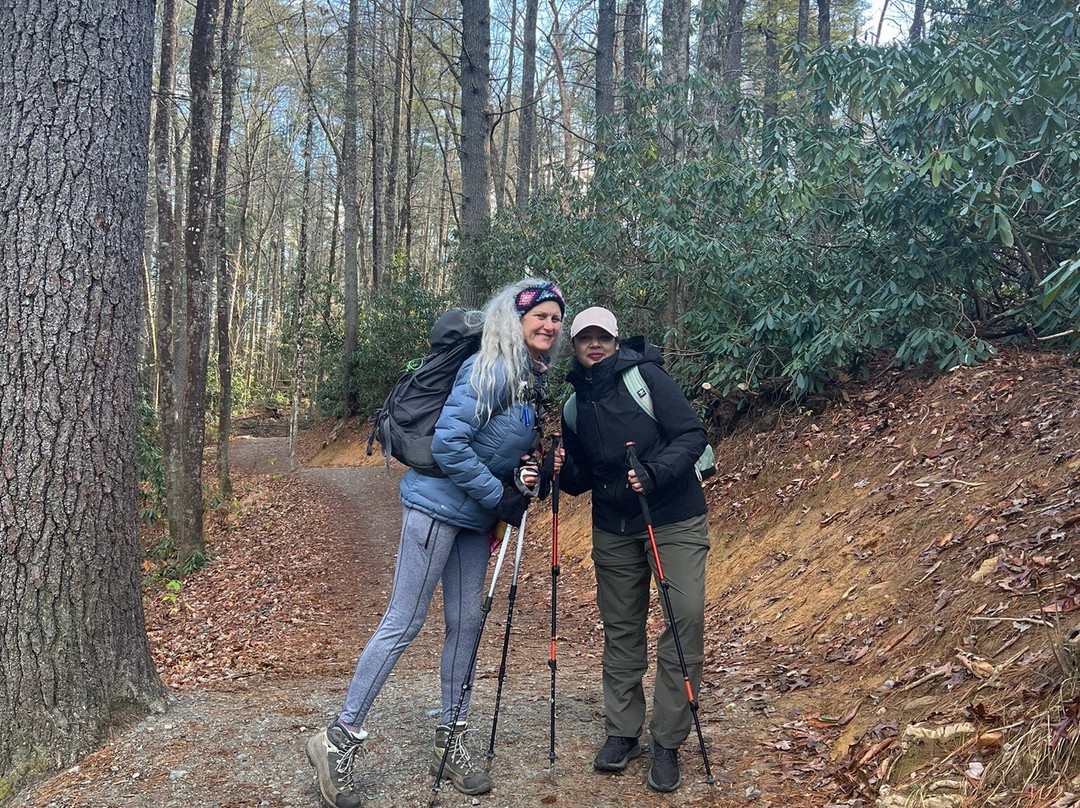 The Ultimate Tie-dye Adventure: Exploring the Majestic Wilderness on a Necktie Hiking Expedition