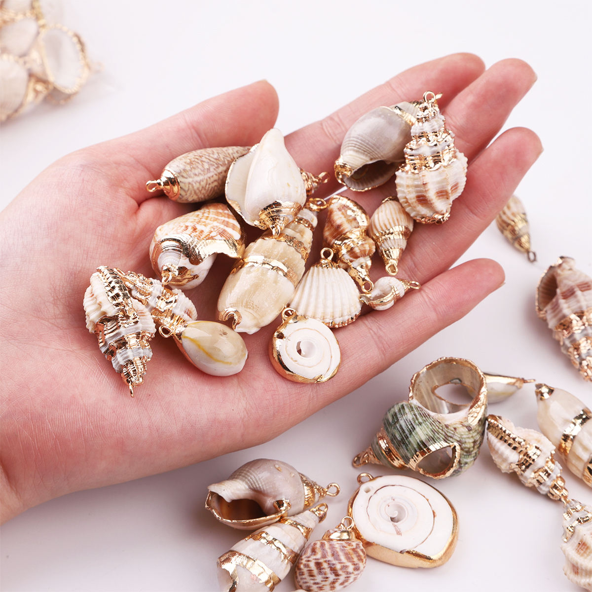 Sea Shell Tie: A Fashionable Accessory with a Natural Charm