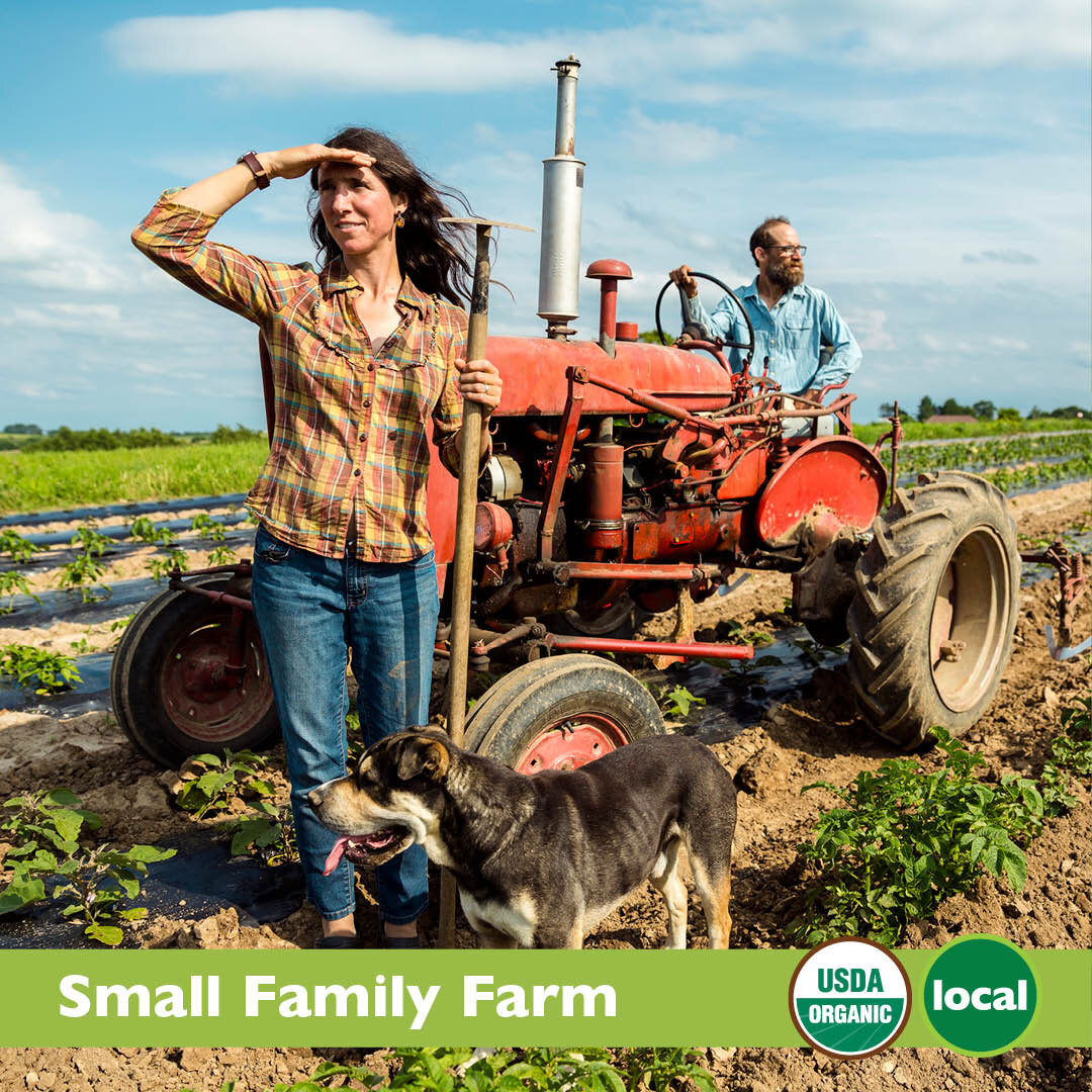 Unveiling the Timeless Allure of the Farmers Tie