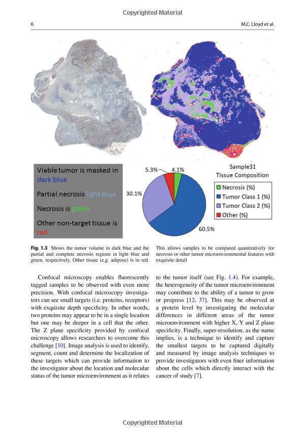 The Enigmatic World of Tie-Biomes