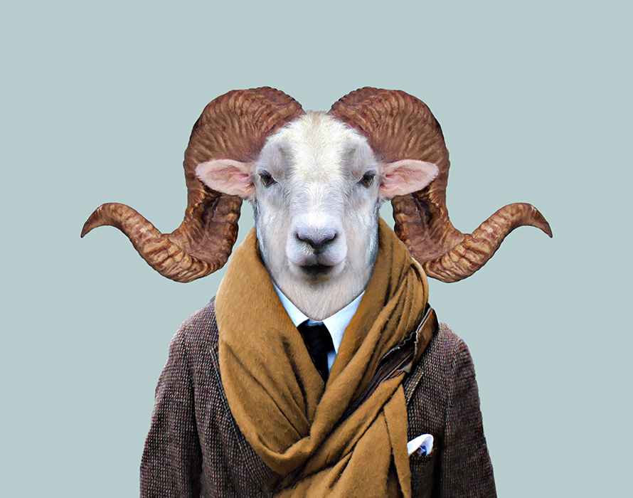 The Enchanting Allure of Sheep-Head DK Ties: A Masterpiece of Fashion and Tradition