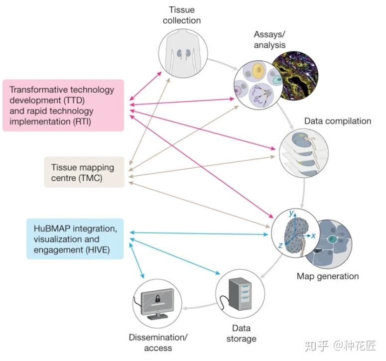 The Brand Positioning Map of Huibang Tie